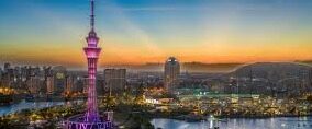 炸金花怎么回收金币-炸金花游戏中金币回收策略探讨